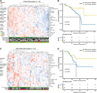 Construction and Validation of a Novel Immunosignature for Overall Survival in Uveal Melanoma